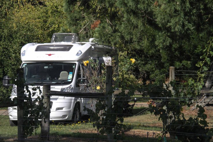 Central HB (14 of 25)