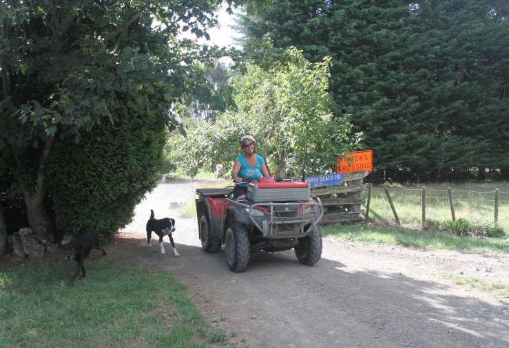 Central HB (16 of 25)