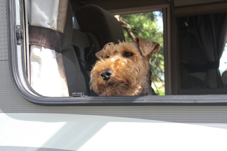 Central HB (17 of 25)