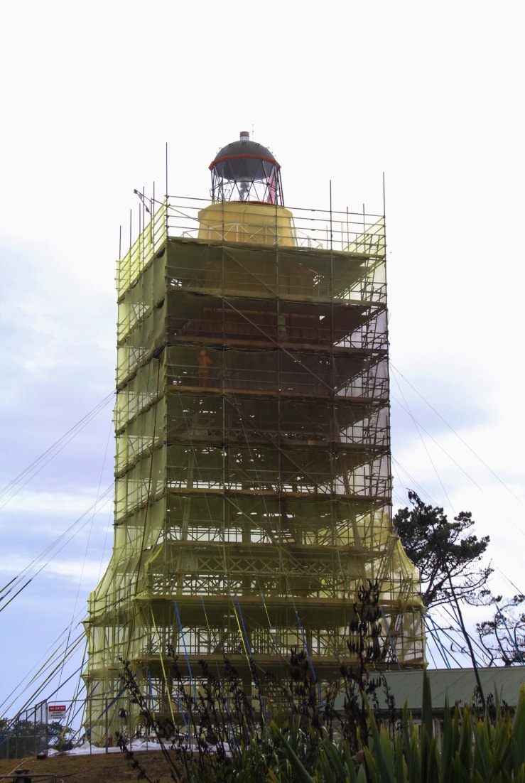 Farewell Spit (7 of 20)